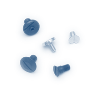 Clamping Screws